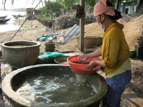 Nhọc nhằn cào hến mưu sinh