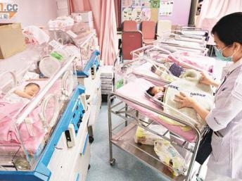 Hồng Kông: Biểu tình chống phụ nữ Trung Quốc đến sinh con