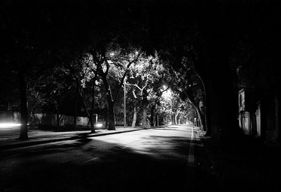 Đêm đông, ta mơ…