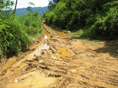 Mua cả quả đồi chứa vàng để khai thác