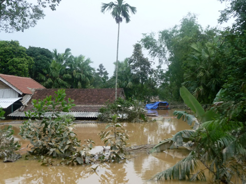 "Miền Trung hỏi Hà Nội có mưa không?"