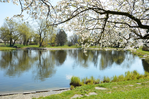 Tục ngữ về tháng Tư ở Ba Lan