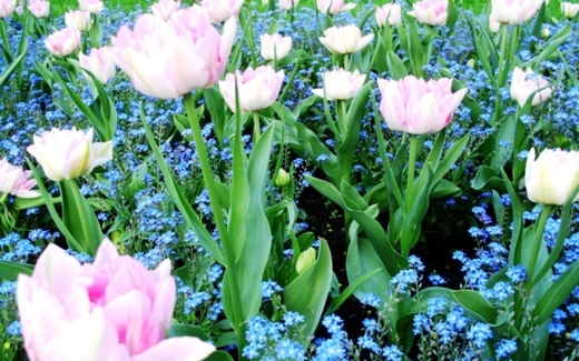 Mùa Xuân ở Ba Lan