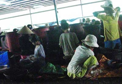 Những đứa trẻ nghỉ hè đi làm... công nhân