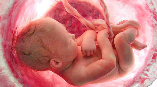 Hồ sơ theo dõi thai và các chữ viết tắt trong các xét nghiệm khi có mang