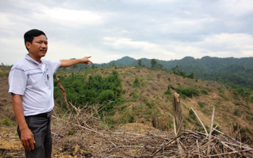Đất bị chiếm, rừng bị phá tràn lan