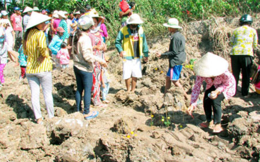 Hàng ngàn người đổ xô đến xem mặt ruộng nhô cao lên 1,8 m