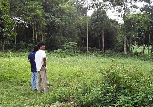 “Sốt” đất do dân buôn làm giá