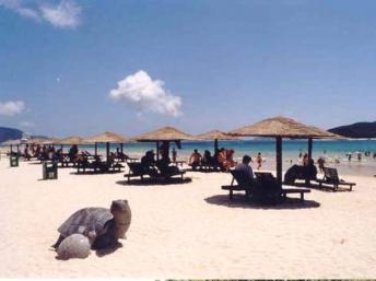 Điểm báo Quốc tế