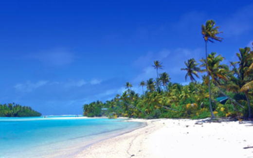 Việt Nam mở đặc khu kinh tế như Thâm Quyến?