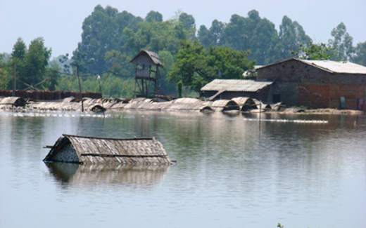 Vỡ đập ở Vĩnh Phúc: Tiền tỉ trôi theo dòng nước