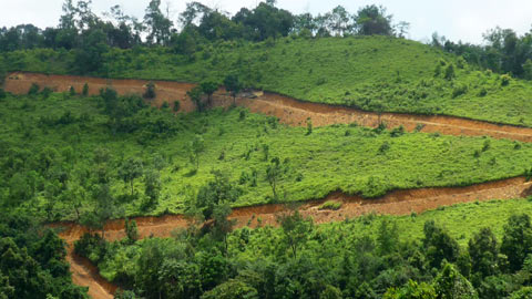 PN&HĐ: Những phát ngôn ấn tượng và... ngụ ngôn "rể khách"