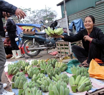 Gía chuối tăng 1.000%