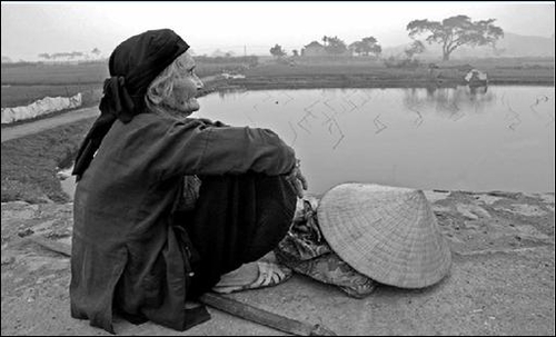 Tiến sĩ tây học, chỉ cần bực mình là vung tay tát...mẹ đẻ?