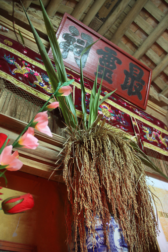 Xem cặp vợ chồng hành lễ giao hòa âm dương