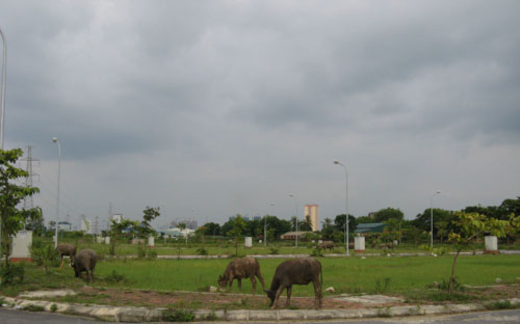 Nên thu hồi dự án hoang xây nhà ở giá rẻ