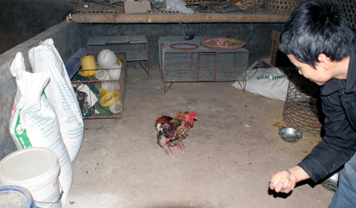 Đặc sản len vào chợ cóc: Tiền nào của ấy