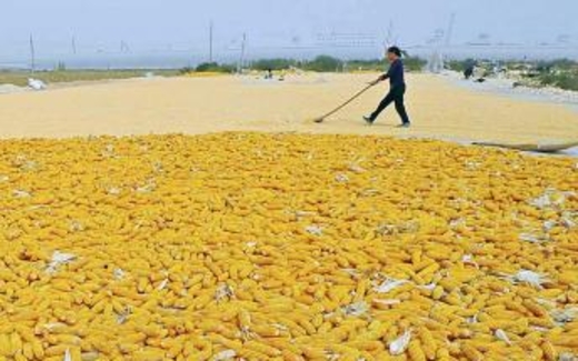 Điểm báo Quốc tế