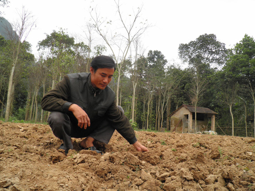 Người khám phá hang động lớn nhất thế giới bị lãng quên!