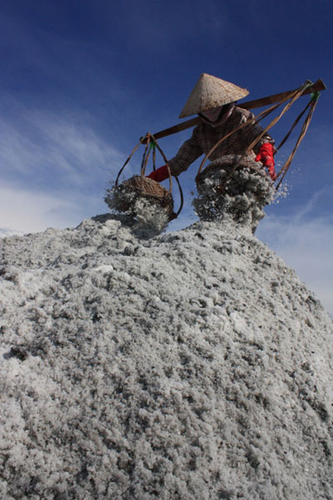 “Vũ điệu” trên cánh đồng muối