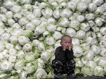 Điểm báo Quốc tế