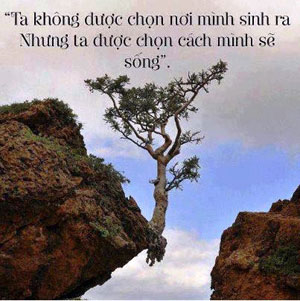 Đừng đổi lỗi cho hoàn cảnh