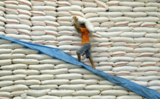 TQ vẫn đứng đầu các nước nhập khẩu gạo Việt Nam