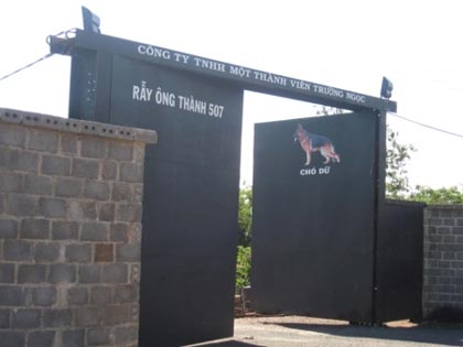 Một góc nhìn từ vụ chó cắn chết người