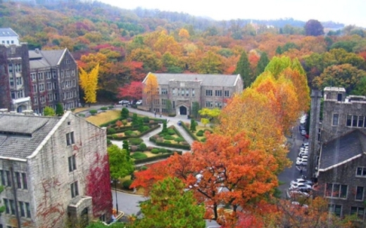 Hàn Quốc và bài học 40 năm cho Việt Nam