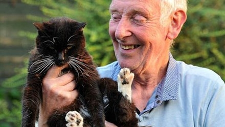 Con mèo già nhất thế giới