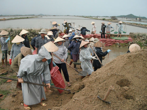 Muối trôi theo lũ, diêm dân rớt nước mắt