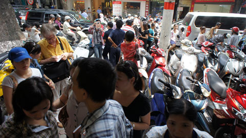 Tâm lý bầy đàn: Mồi ngon cho 'cá mập' vàng