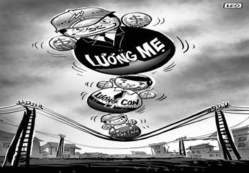 Phát điên vì chính sách!