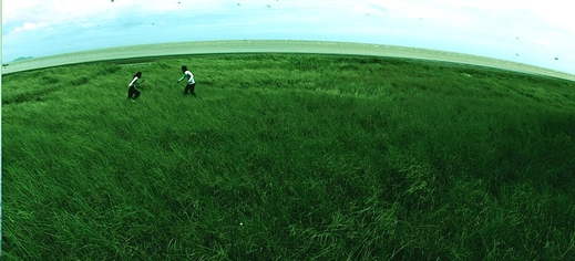 Giới thiệu tóm tắt phim "Nước 2030" của đạo diễn Nguyễn Võ Nghiêm Minh tham gia Liên hoan phim "Ngũ Vị" 2014.