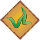 Trung Tâm Văn Hóa Văn Lang - Trường Tiếng Việt Văn Lang tại BaLan