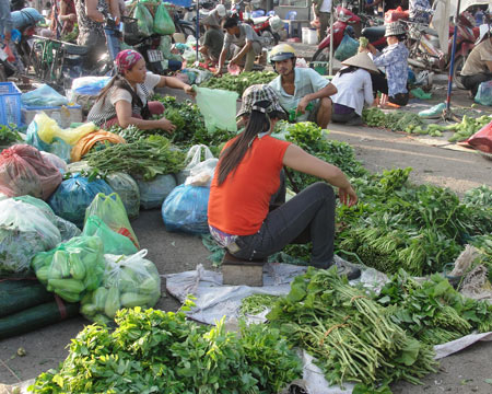 Nhiều loại thực phẩm tăng giá 100% trong vòng 12 tháng