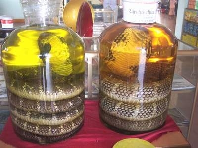 Không ai chửi bằng văn bản bao giờ