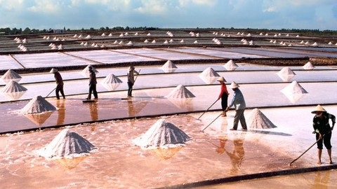 Muối ngoại "tấn công" diêm dân Việt