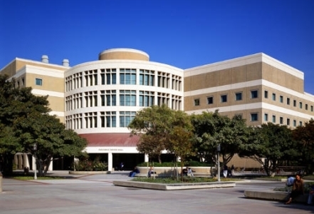 Cậu bé mồ côi thành chuyên gia Y khoa xuất sắc trên đất Mỹ