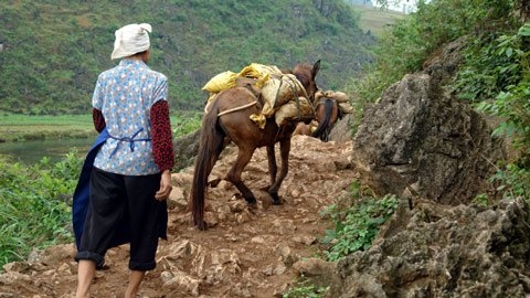 Lộn xộn khai thác khoáng sản là do quy hoạch