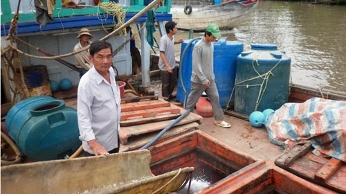 Rồng rắn mua dầu