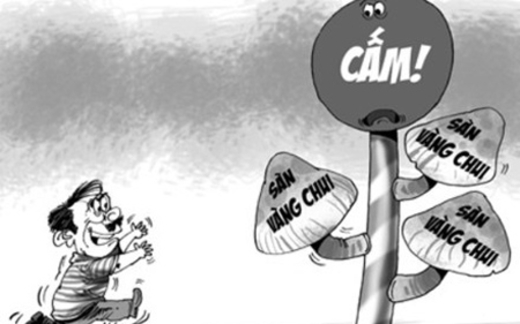 Sàn vàng 'chui': Hám lợi khủng, nhiều người... 'gửi trứng cho ác'