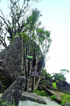 Hòn Bà, đỉnh núi vờn mây