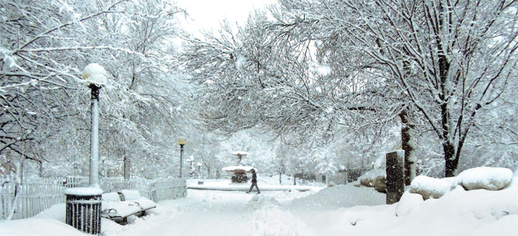 Nỗi lòng xa xứ.