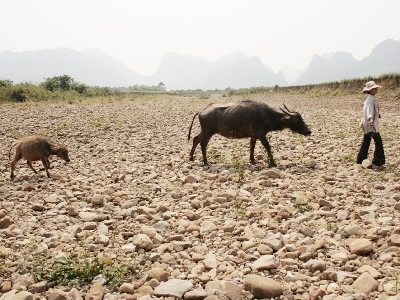 Chuyện chỉ có ở vùng khô khát