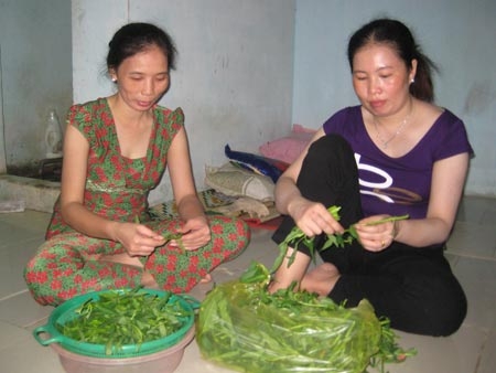 Trở lại Dục Quân