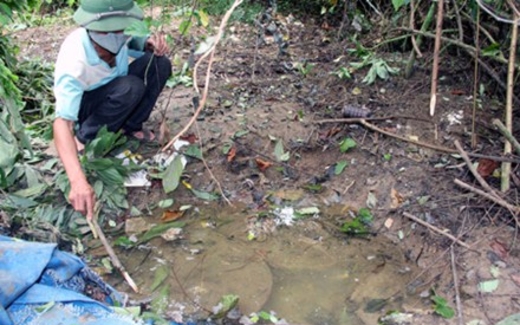 Tội ác đằng sau tội ác chôn thuốc trừ sâu