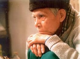 Hoàng Cầm và lá Diêu bông