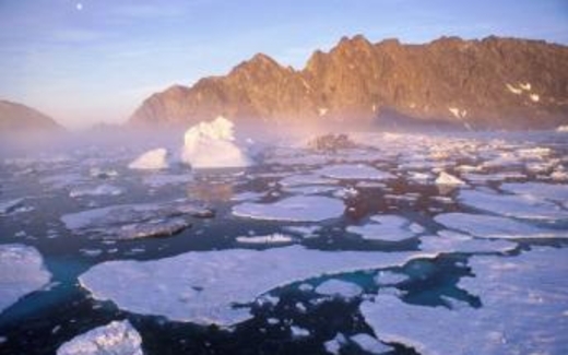 Bắc Cực tan băng mở đường cho nhiều loại ký sinh trùng nguy hiểm