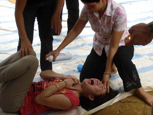 Trung tâm áp vong nhiều như nấm sau mưa ở Nghệ An